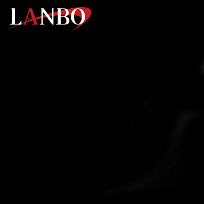ハイエース LANBO リア用 3Dインテリアパネル